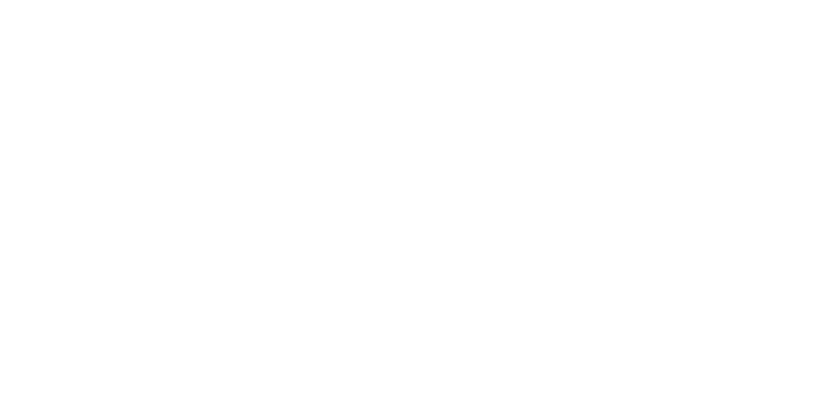 Ping Properties